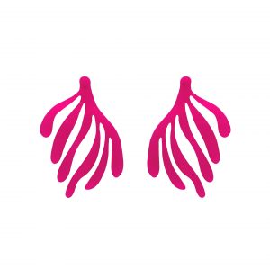 Matisse pink